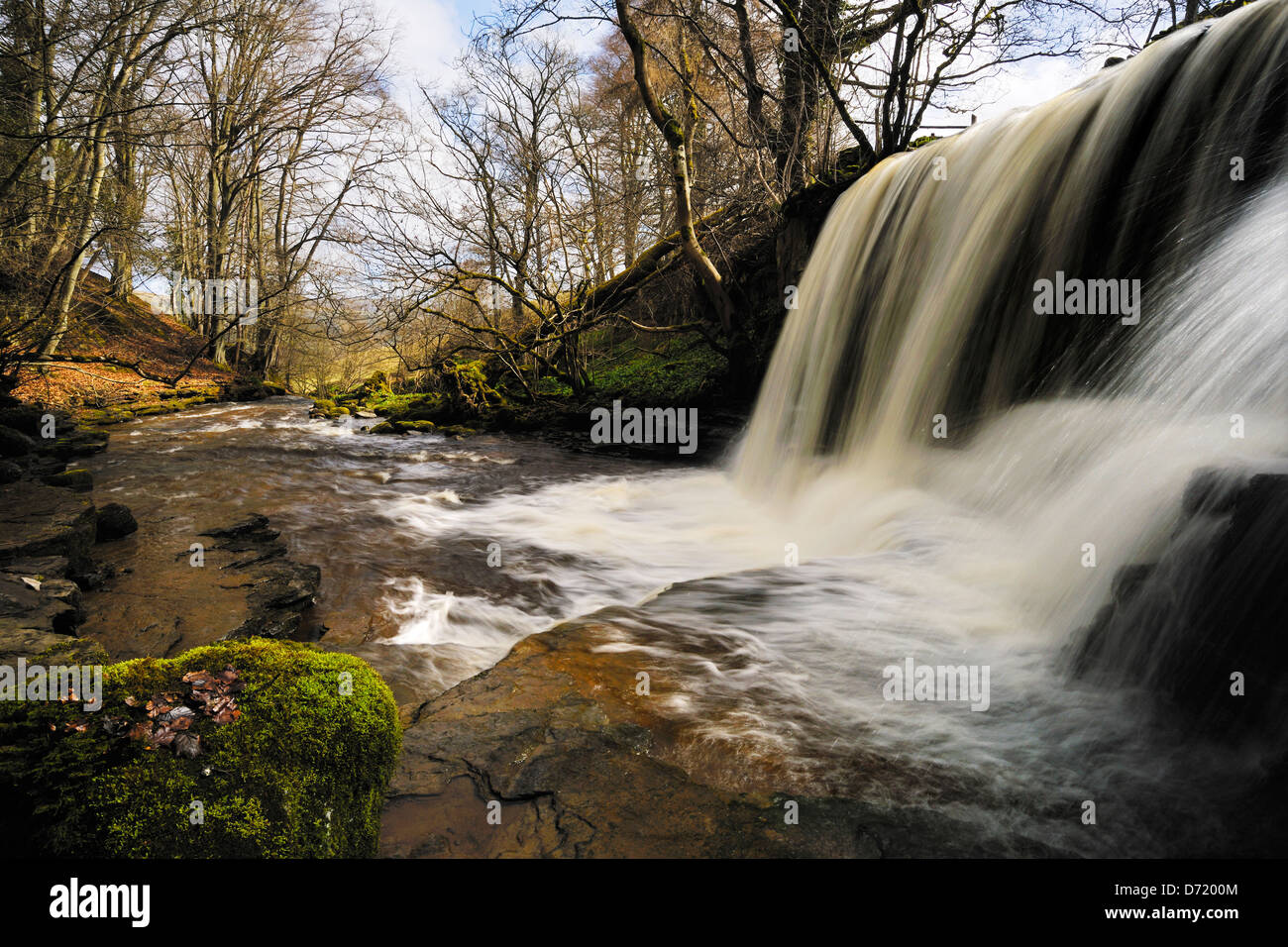 Stürzen, plantschen, schnell fließendes Wasser in Haverdale Woods, Swaledale, Yorkshire, England Stockfoto
