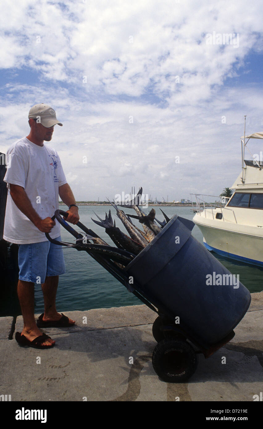 Fang des Tages von König Makrele (Scomberomorus Cavalla) auf den Sport-angeln-Docks in der Nähe von Port Aransas Texas Stockfoto