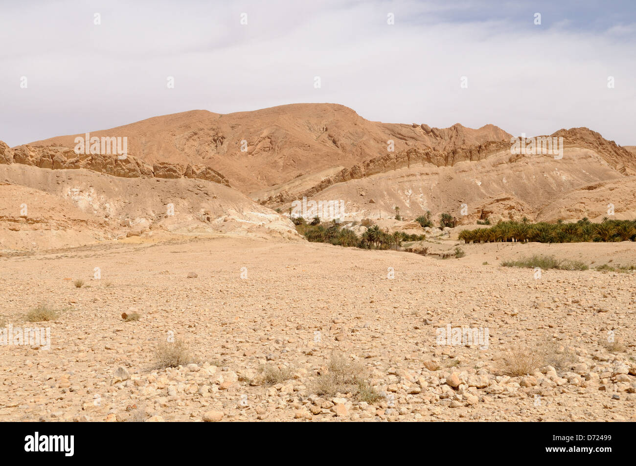 Tamerza Berg Oase Atlasgebirge Tunesien Stockfoto