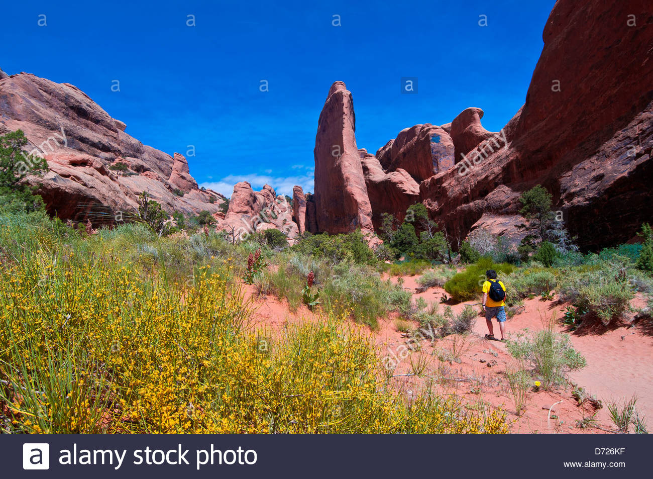 Devils Garden Trail Arches Nationalpark In Der Nahe Von Moab