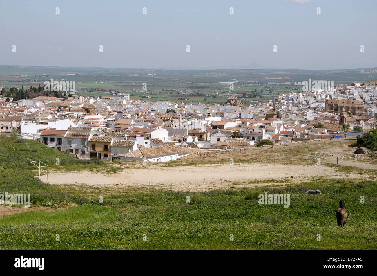 Die Skyline der Stadt Antequera in der Provinz Málaga-Spanien Stockfoto