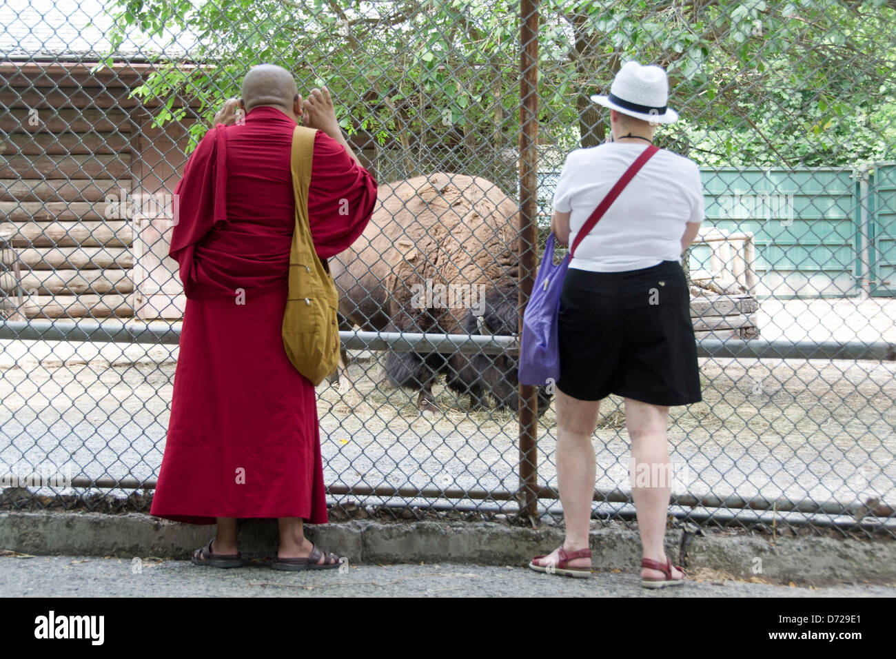 ein Heiliger und weiße Dame ansehen Tier im Zoo in Toronto. Stockfoto