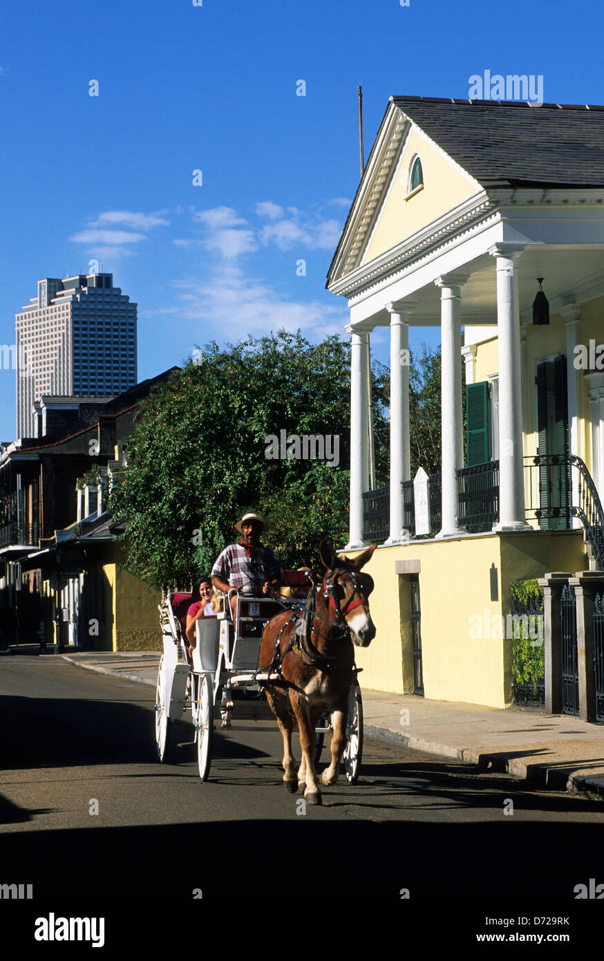 Elk283-1891v Louisiana, New Orleans, French Quarter, Vieux Carre, Kutsche Stockfoto