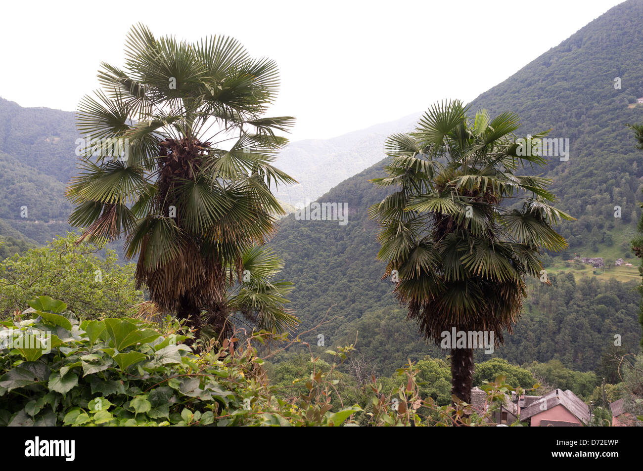 Isorno, Schweiz, Blick über die Berglandschaft Stockfoto