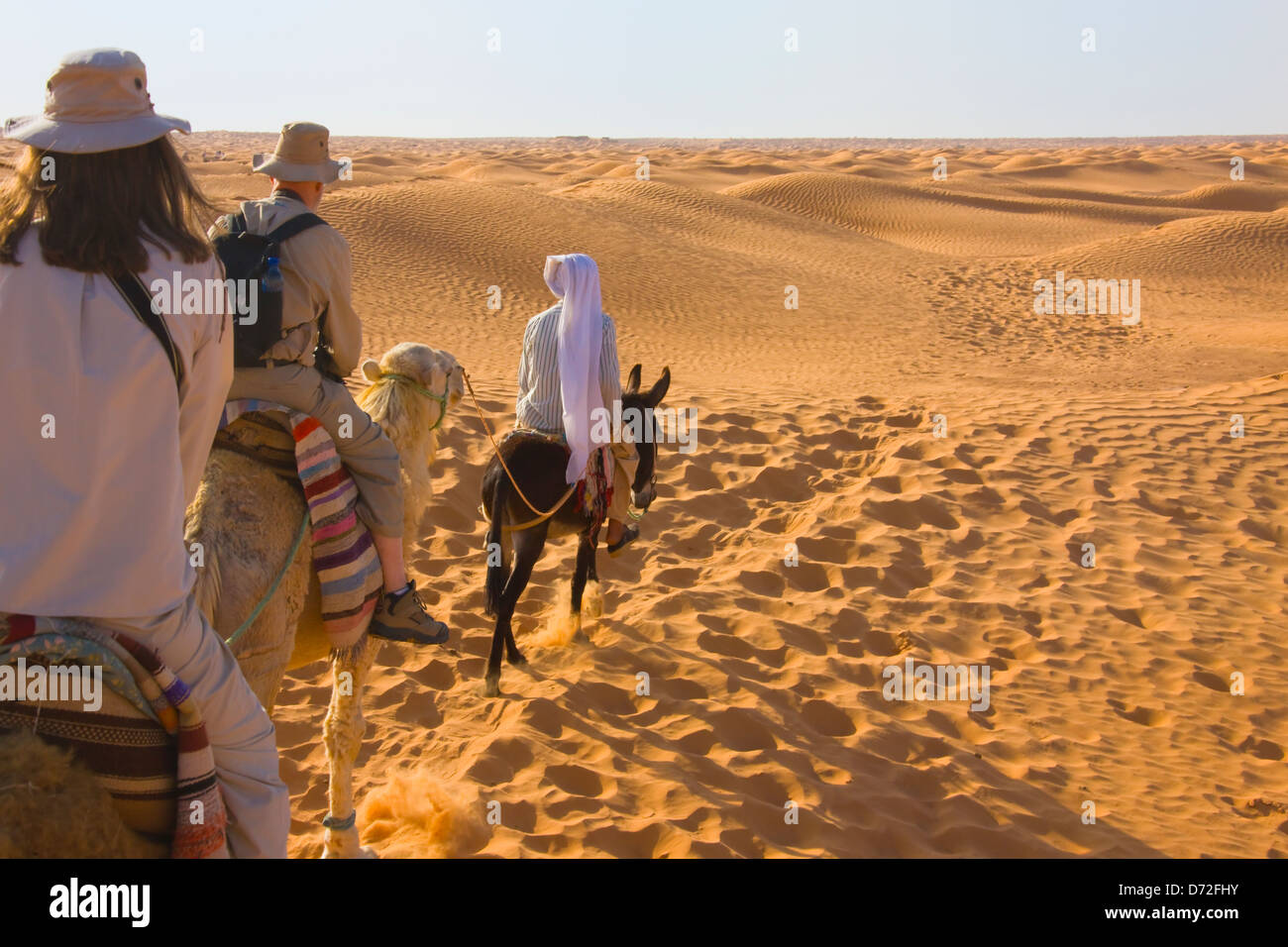 Kamel-Karawane in der Wüste Sahara, Ksar Ghilane, Tunesien Stockfoto