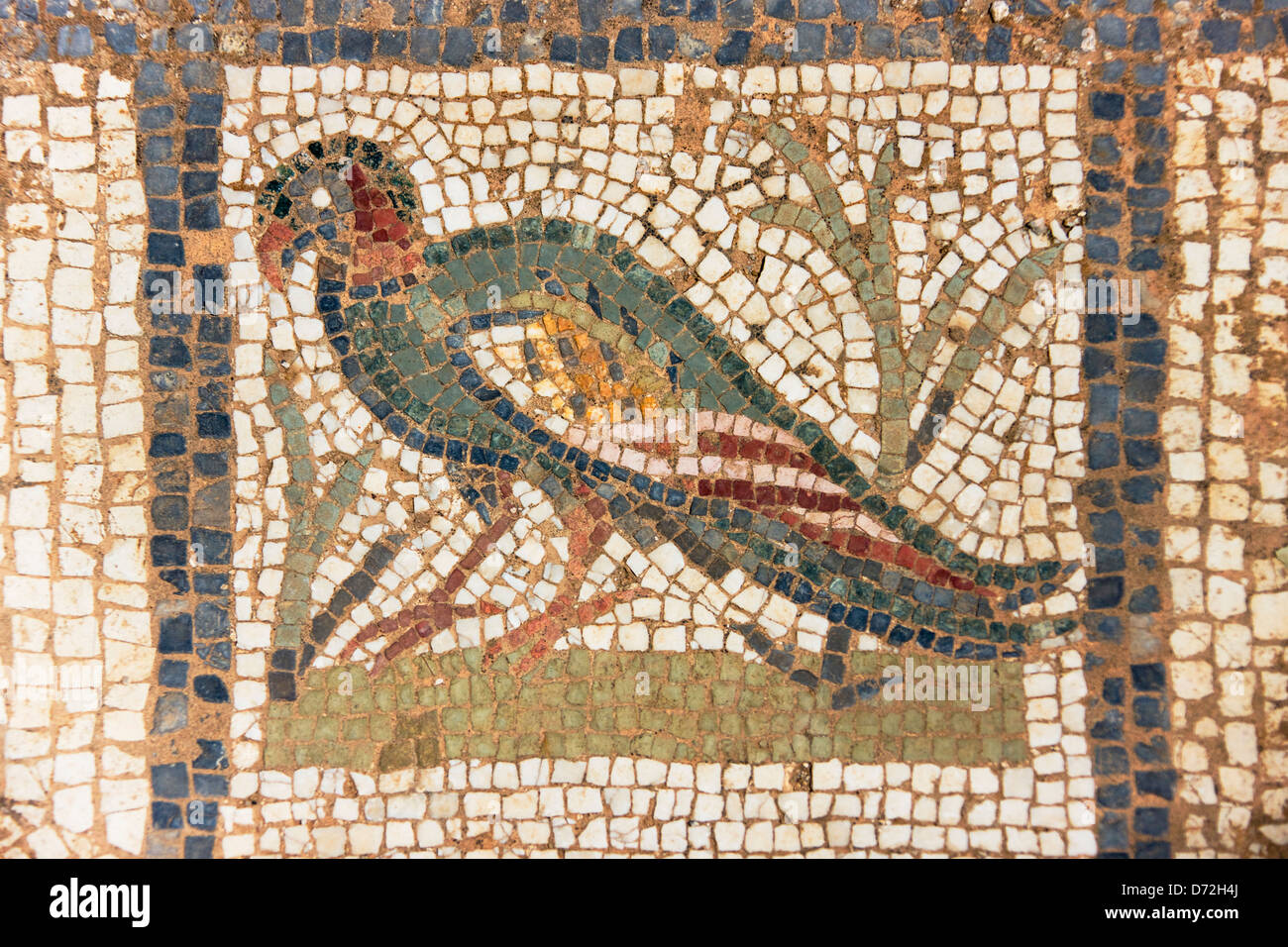 Mosaik in El Djem Museum, Tunesien Stockfoto