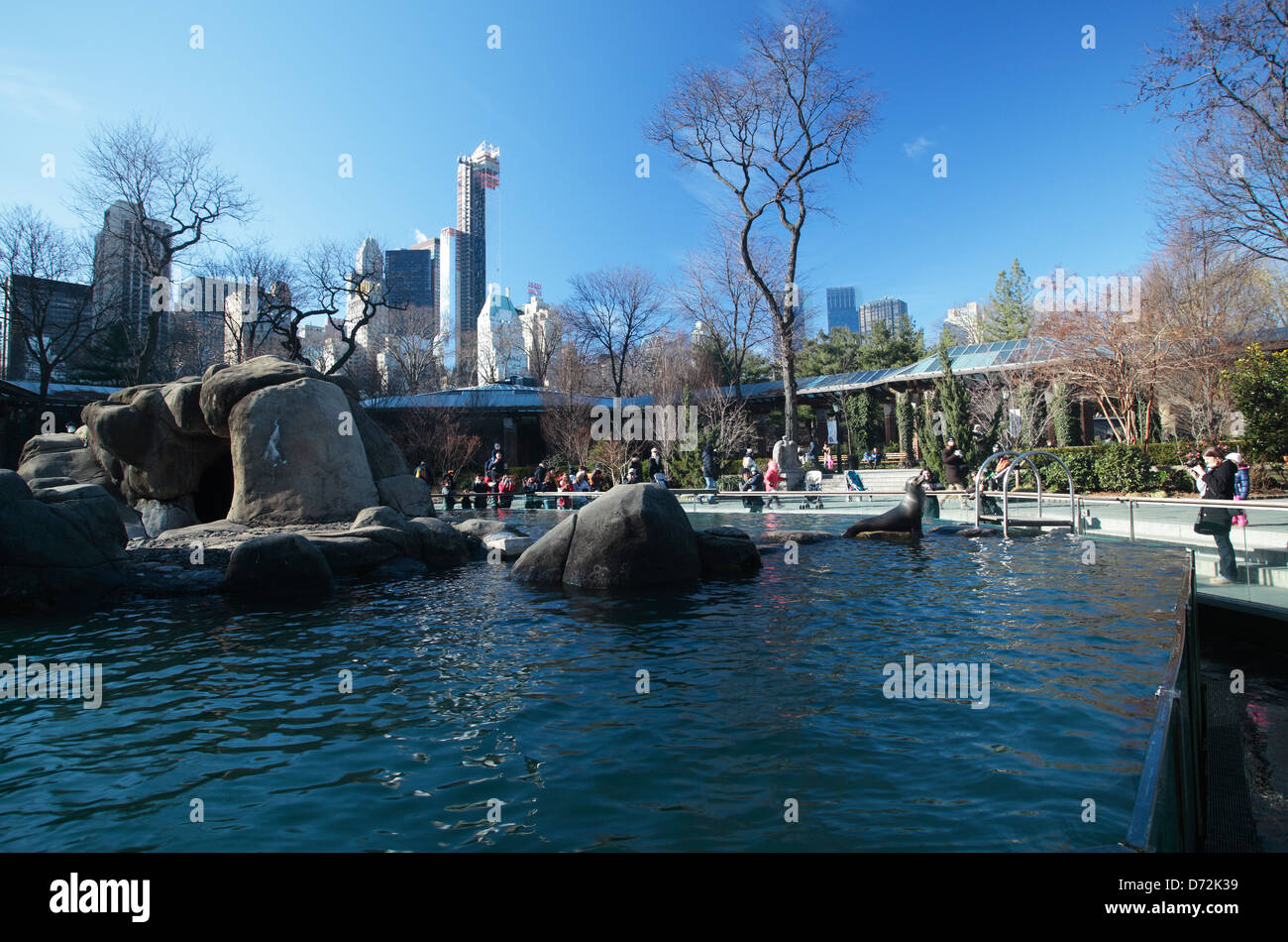 Der Central Park Zoo, Manhattan, New York Stockfoto