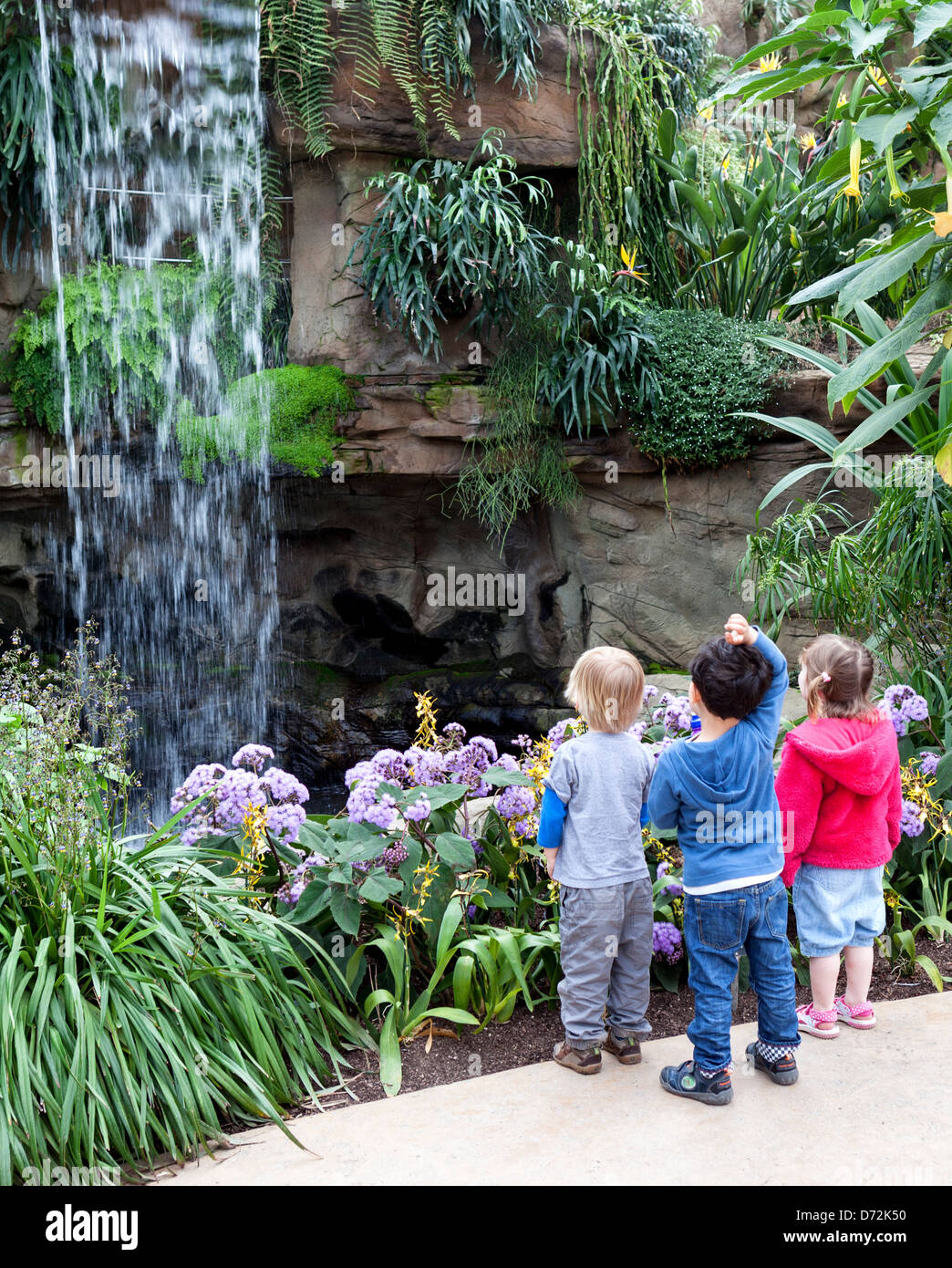 Drei kleine Kinder, die Blick auf einen Wasserfall im Gewächshaus in Wisley RHS Garden Stockfoto