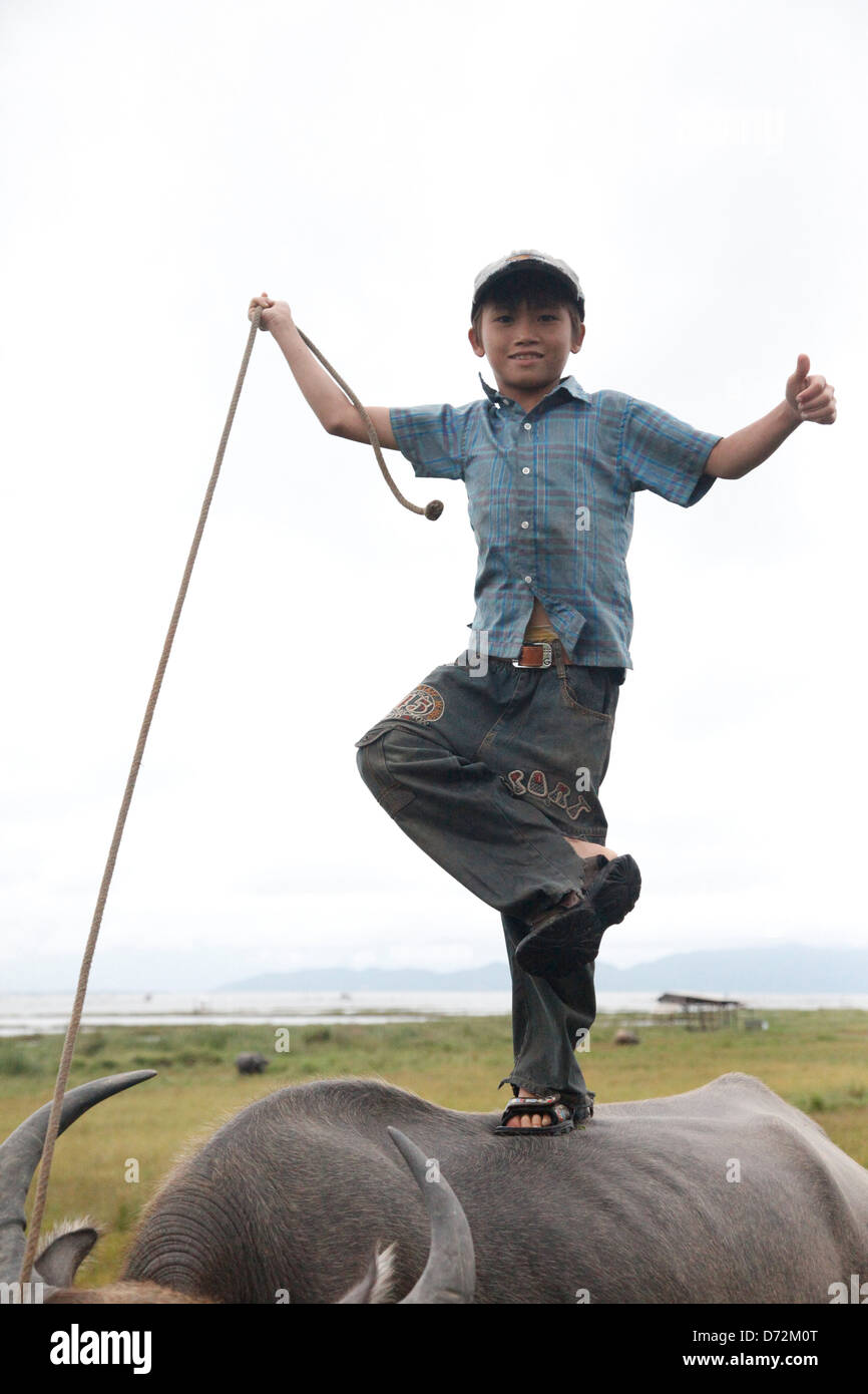 Hue, Vietnam, junge auf einem Ochsen Stockfoto