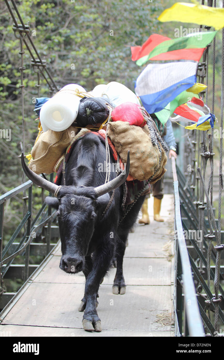 Buddhistische Gebetsfahnen Stockfoto