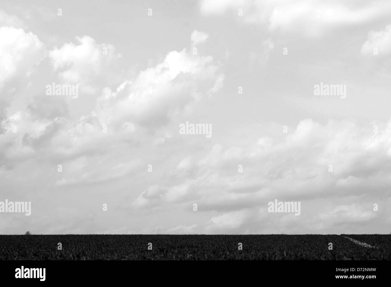 Himmel und Feld Stockfoto