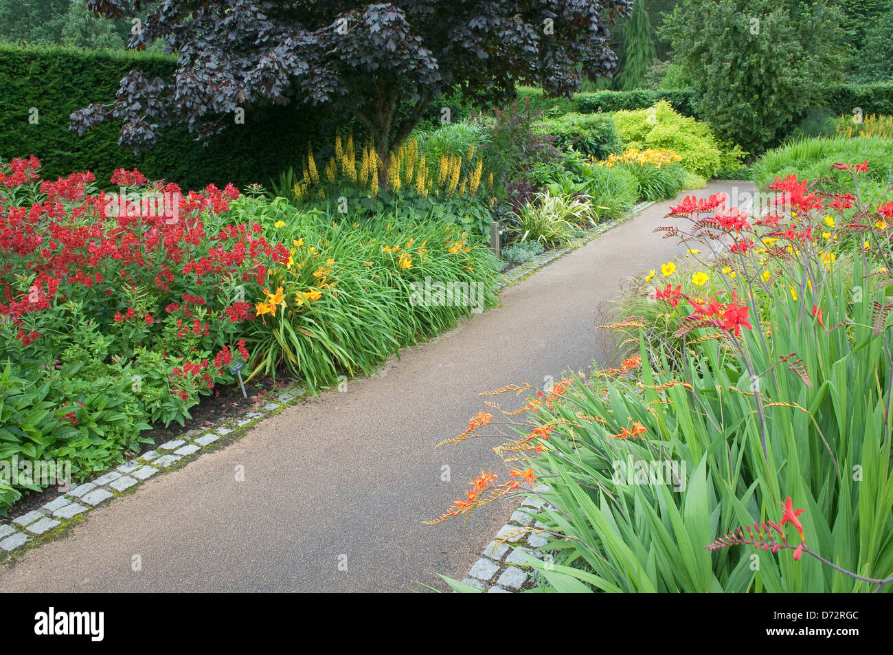 Pflasterweg in blühenden englischen Garten Stockfoto