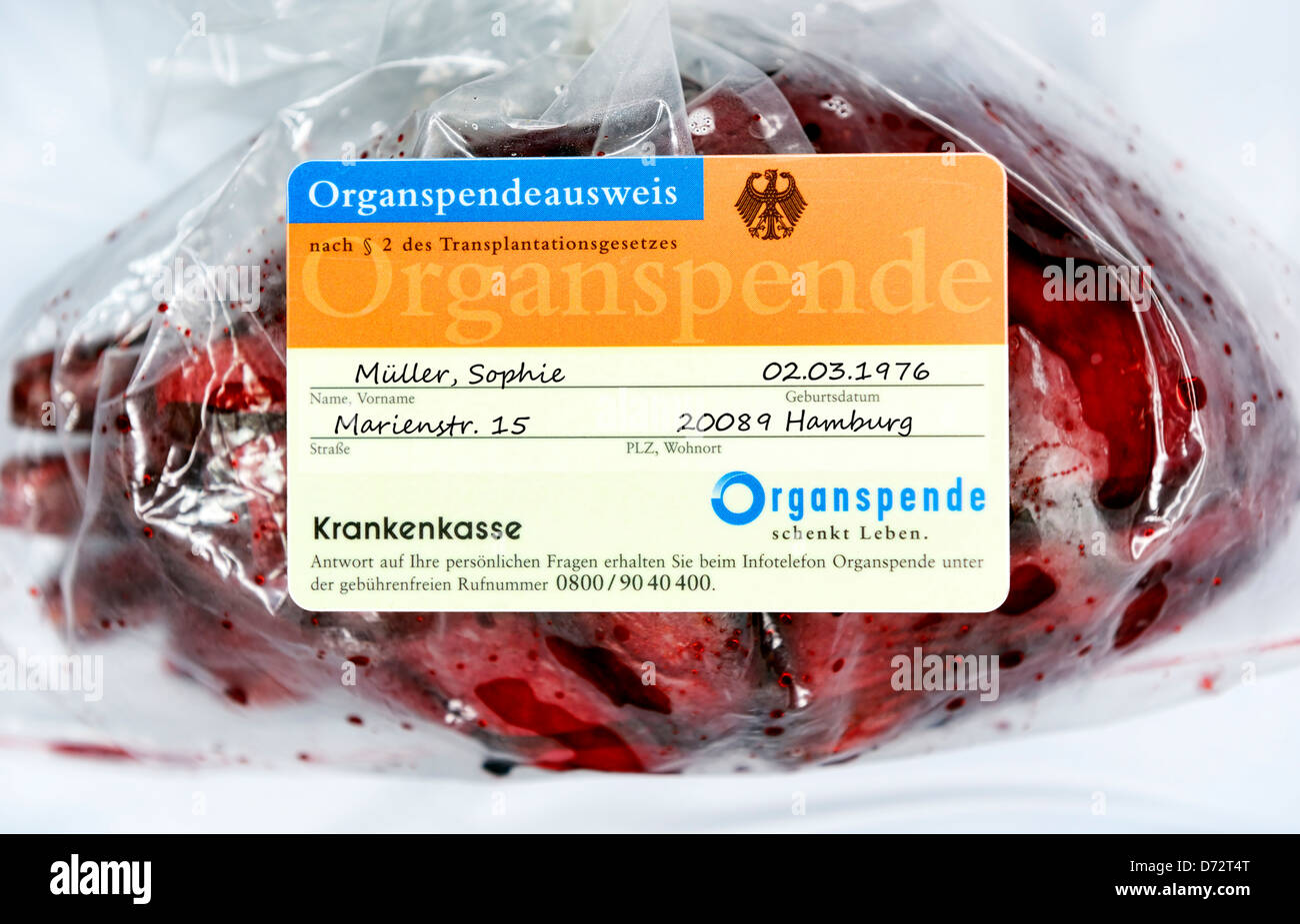 Herz und Organ Spende Personalausweis, symbolische Foto-Organ-Spende-Skandal Stockfoto