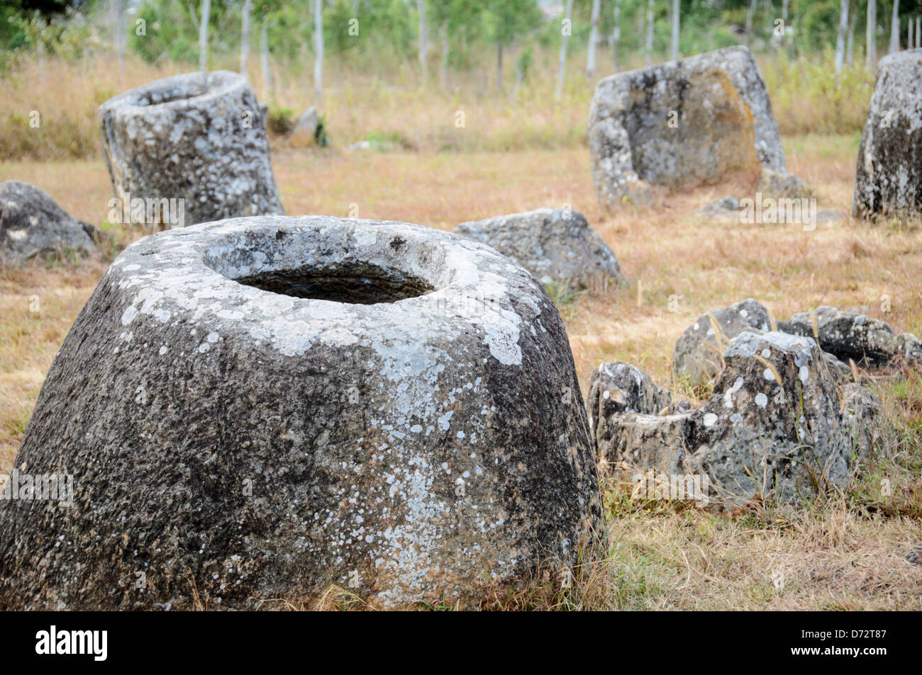 PHONSAVAN, Laos - einige der Steingläser an Standort 1 der Ebene der Gläser im nördlichen Zentrum von Laos. Über das Alter und den Zweck der tausenden von Steingläsern in der Region ist noch viel unbekannt. Die meisten Berichte stammen von vor mindestens ein paar Tausend Jahren, und es wurden Theorien aufgestellt, dass sie in Bestattungsritualen verwendet wurden. Stockfoto