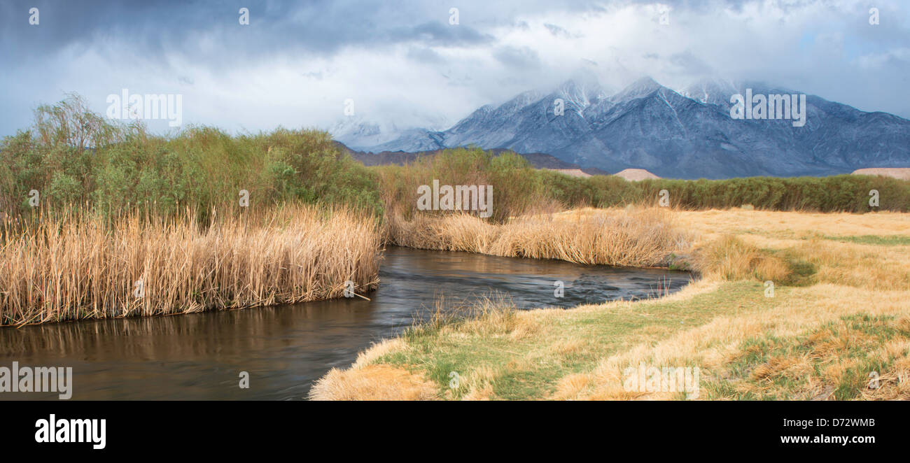 Die Owens River und die Berge der Sierra Nevada Stockfoto