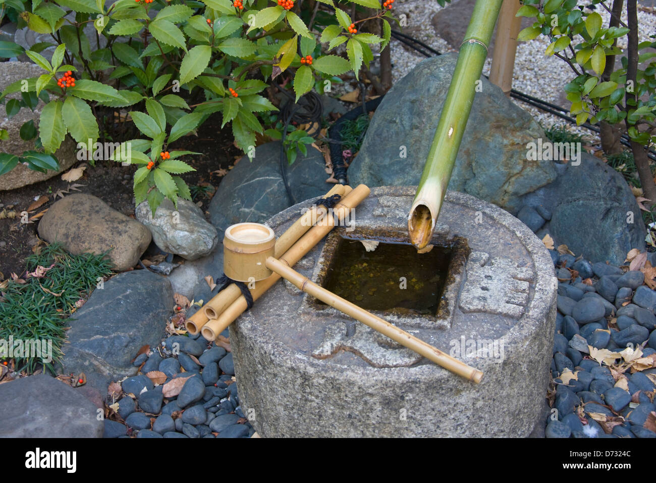 Stein-Wasserbecken an der Pforte des japanischen Gartens, Tokyo, Japan Stockfoto