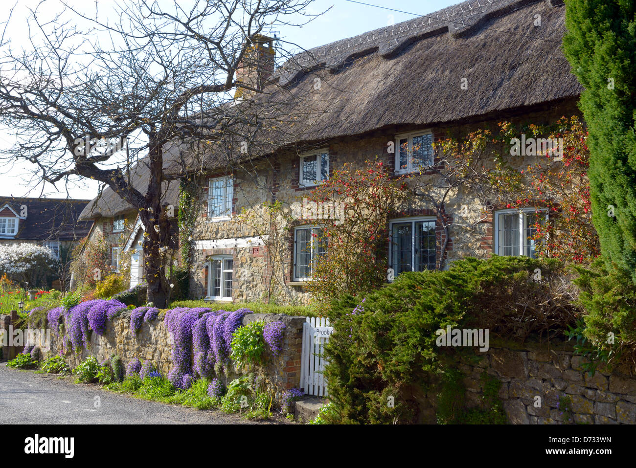 Ein Stein gebaute Reetdachhaus in Dorf Amberley, West Sussex, Großbritannien Stockfoto