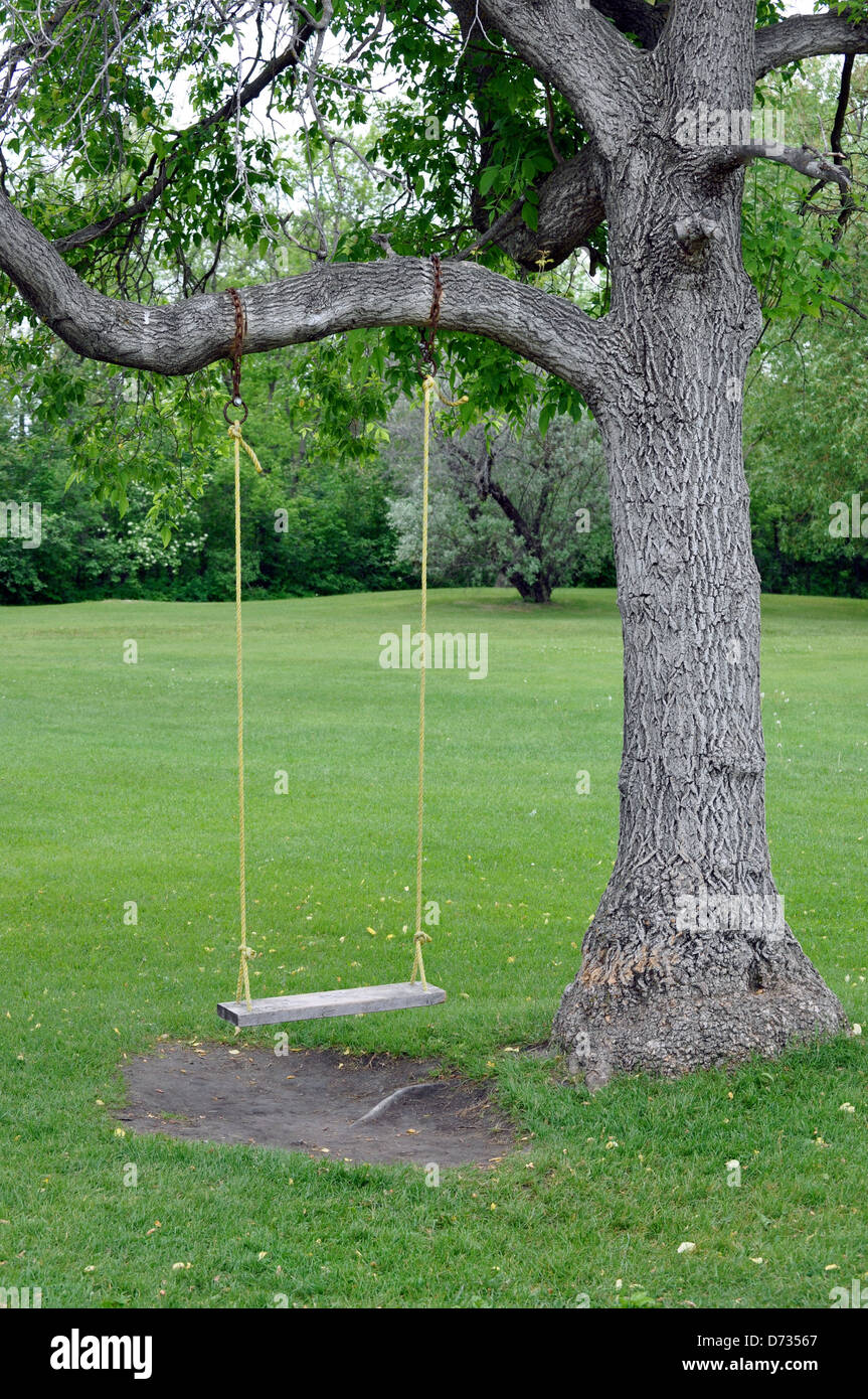 Leere Schaukel an einem Baum hängen Stockfotografie - Alamy