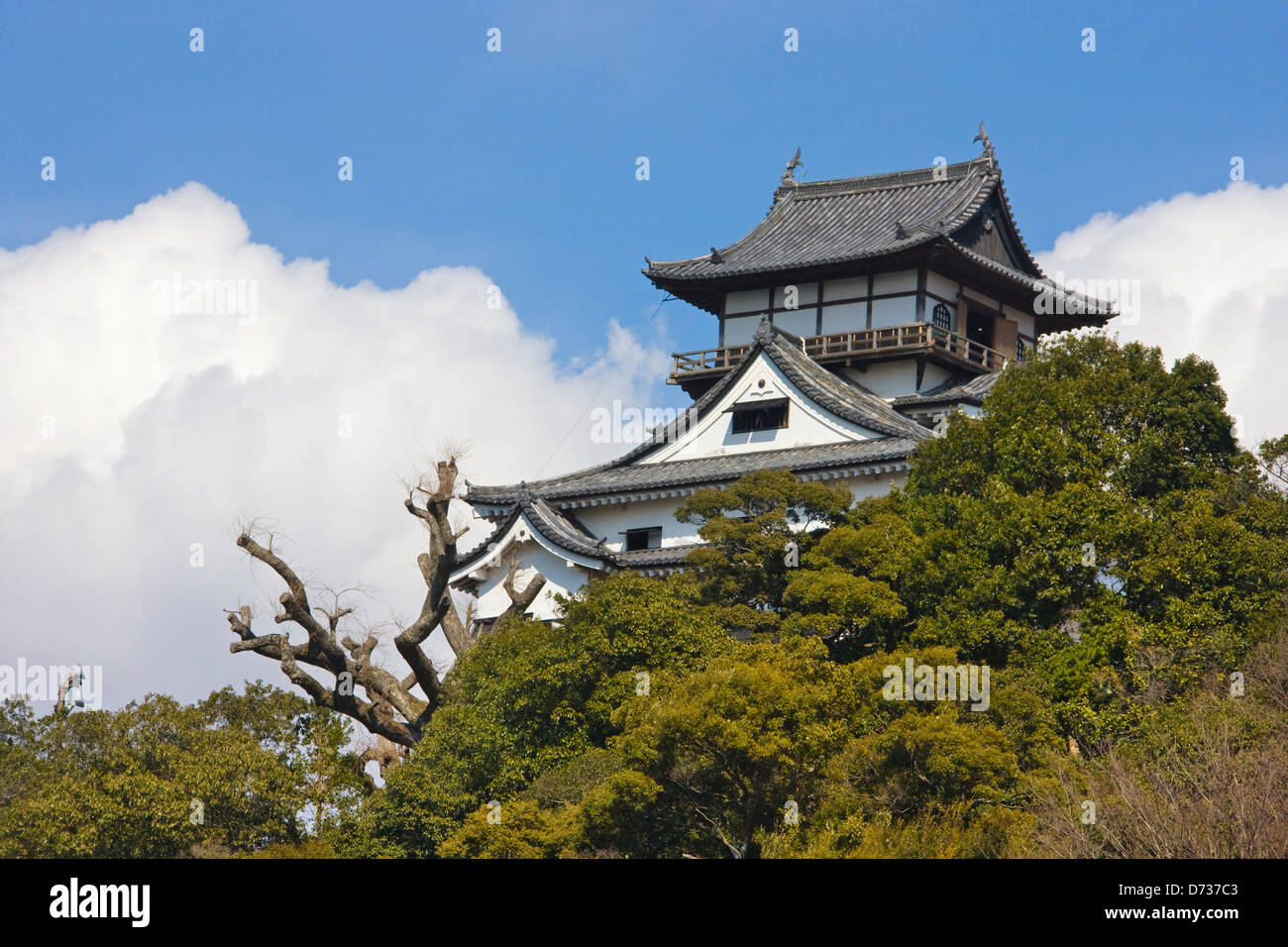 Inuyama Castle, Japan Stockfoto