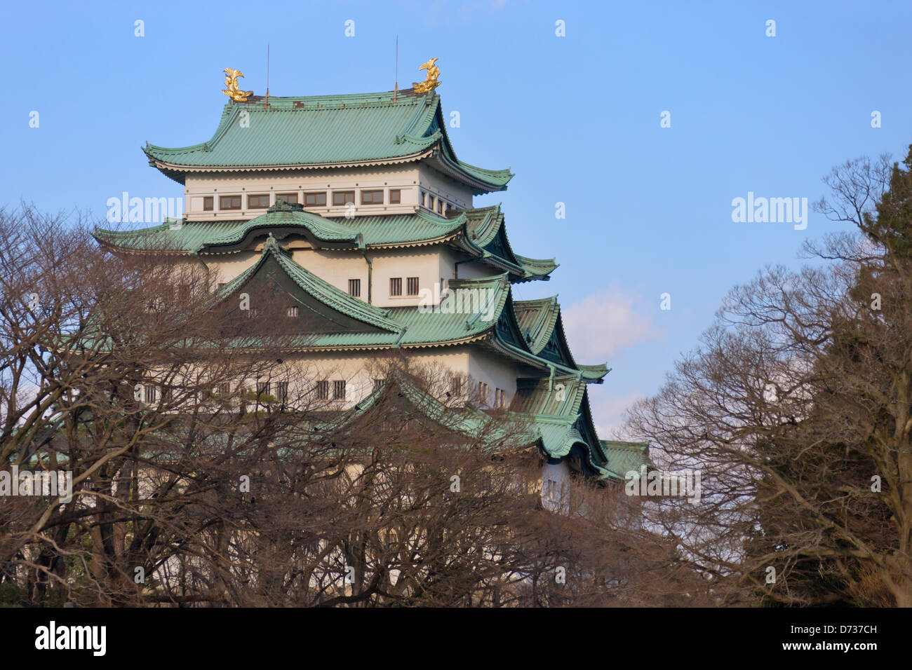 Burg von Nagoya, Japan Stockfoto