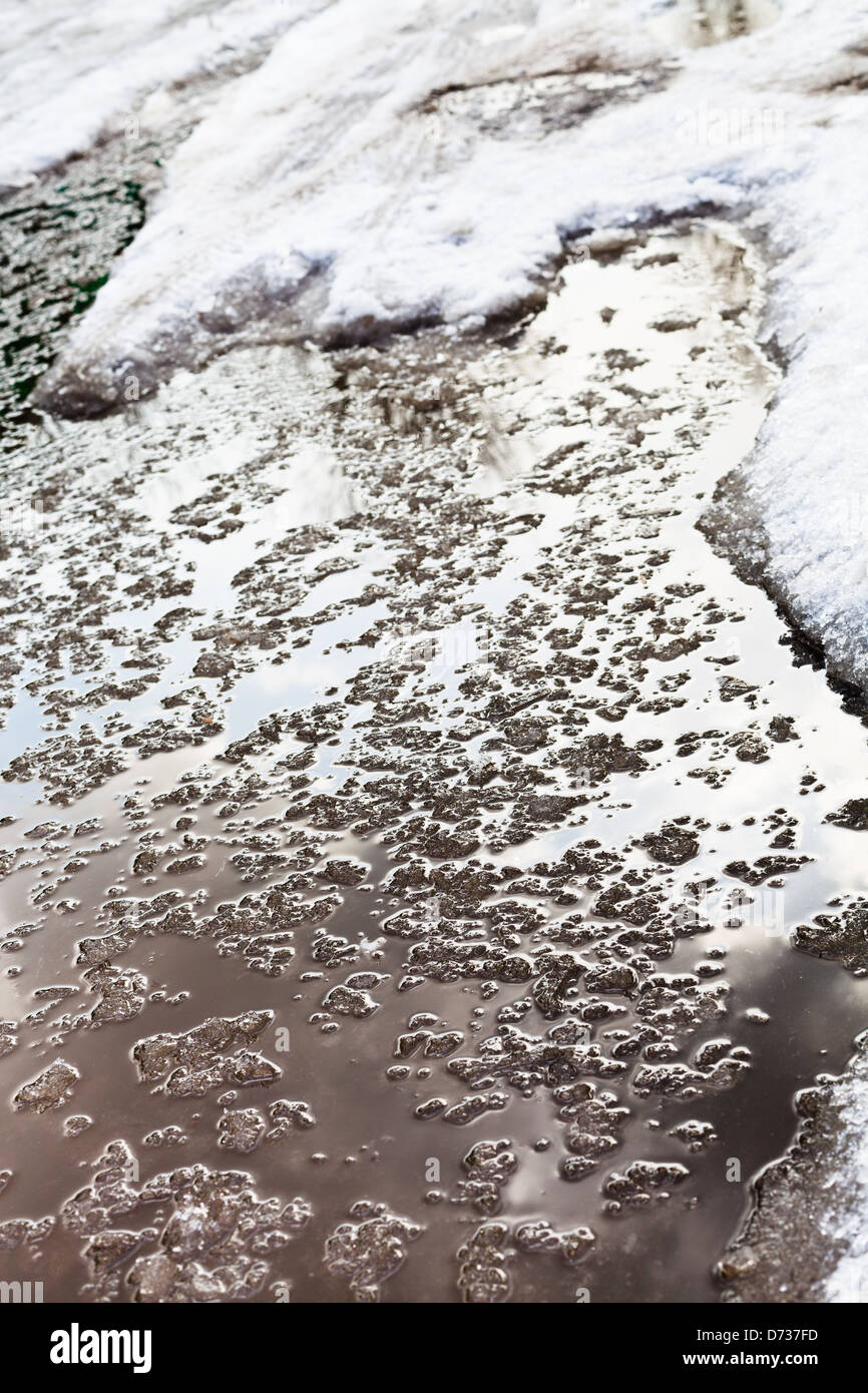 Pfütze aus Schneeschmelze im Frühjahr Stockfoto