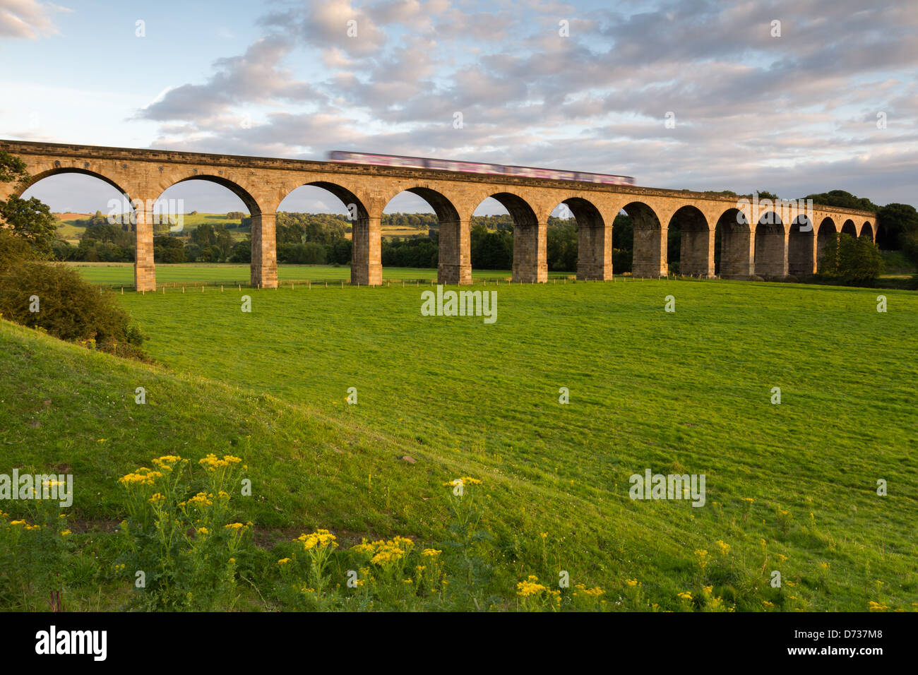 Arthington Eisenbahnviadukt, Wharfedale Stockfoto