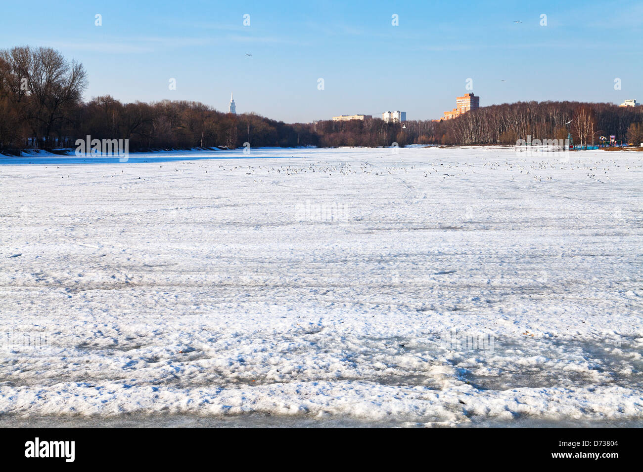 schmelzendes Eis auf gefrorenen urban See im frühen Frühling Stockfoto