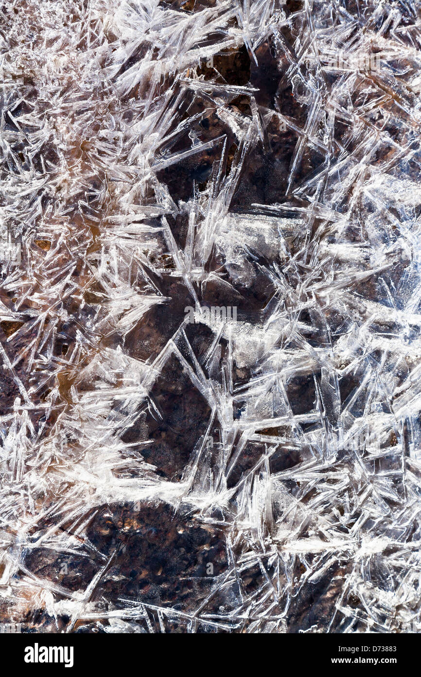 Frost Eiskristalle unter gefrorenes Wasser im Frühlingswald Stockfoto