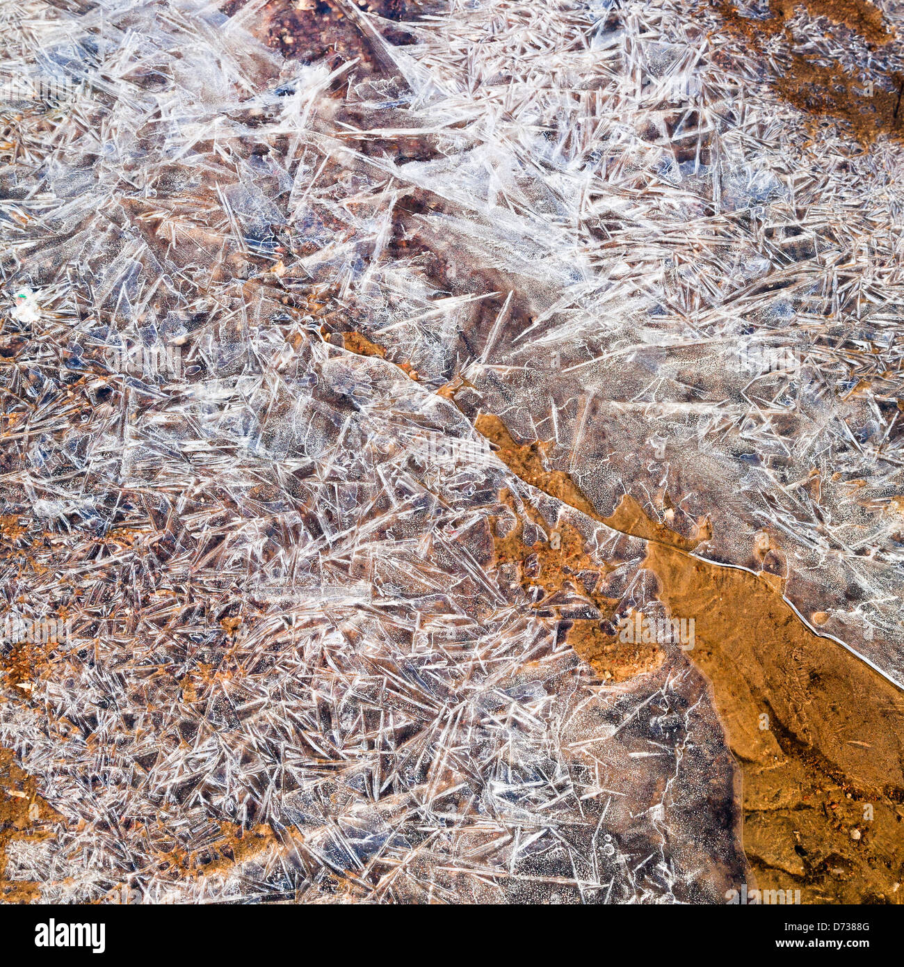 Eiskristalle von gefrorenem Wasser am Boden im Frühlingsmorgen Stockfoto