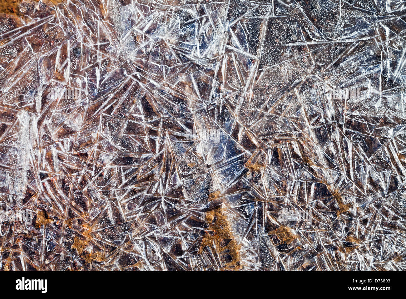 gefrorenes Wasser mit Eiskristallen auf Boden in Frühlingsmorgen Stockfoto