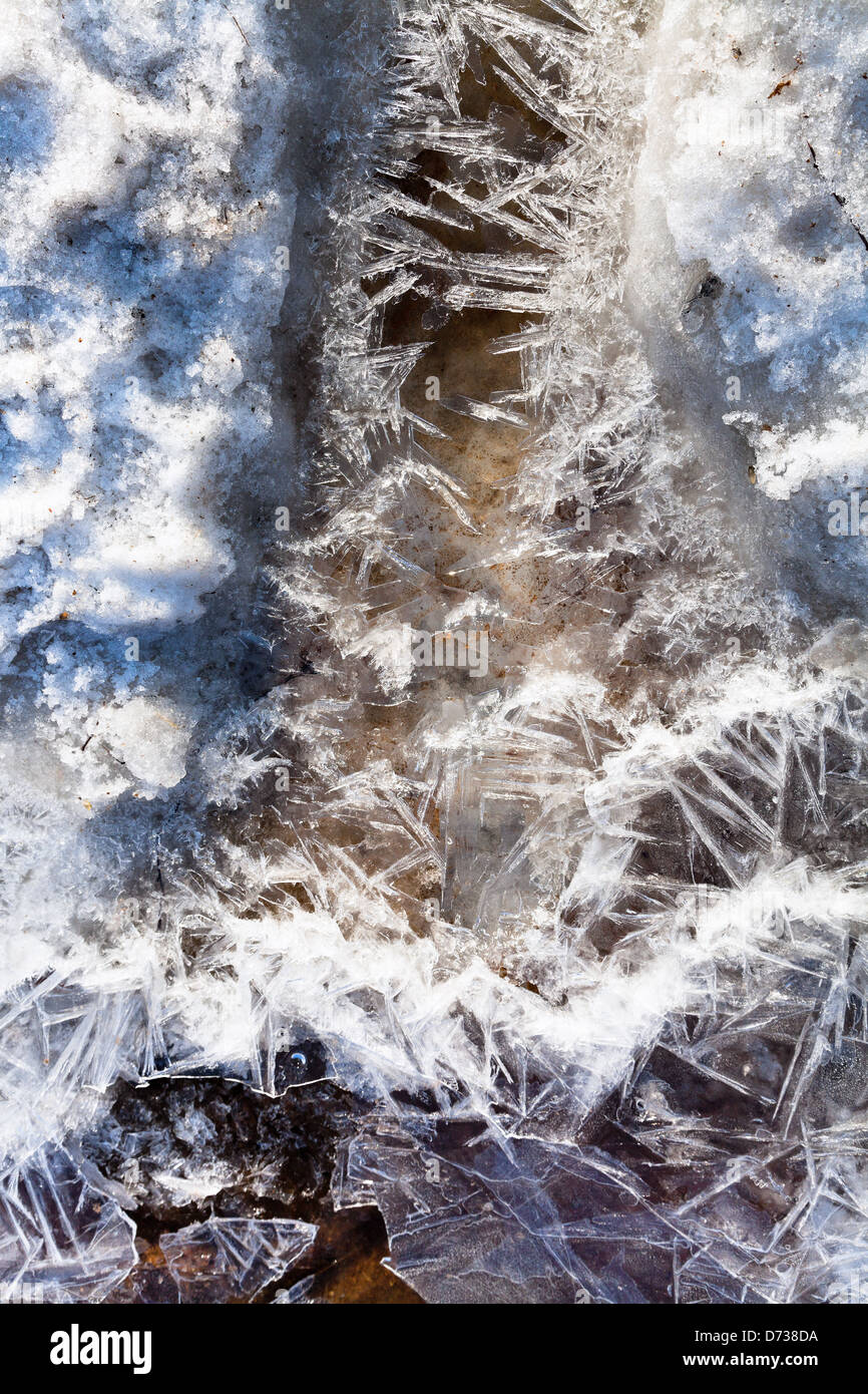 gefrorenen Eiskristallen unter schmelzenden Schnee Stream im Frühlingswald Stockfoto