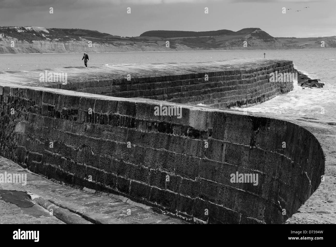 Lyme Regis, Maiskolben Stockfoto