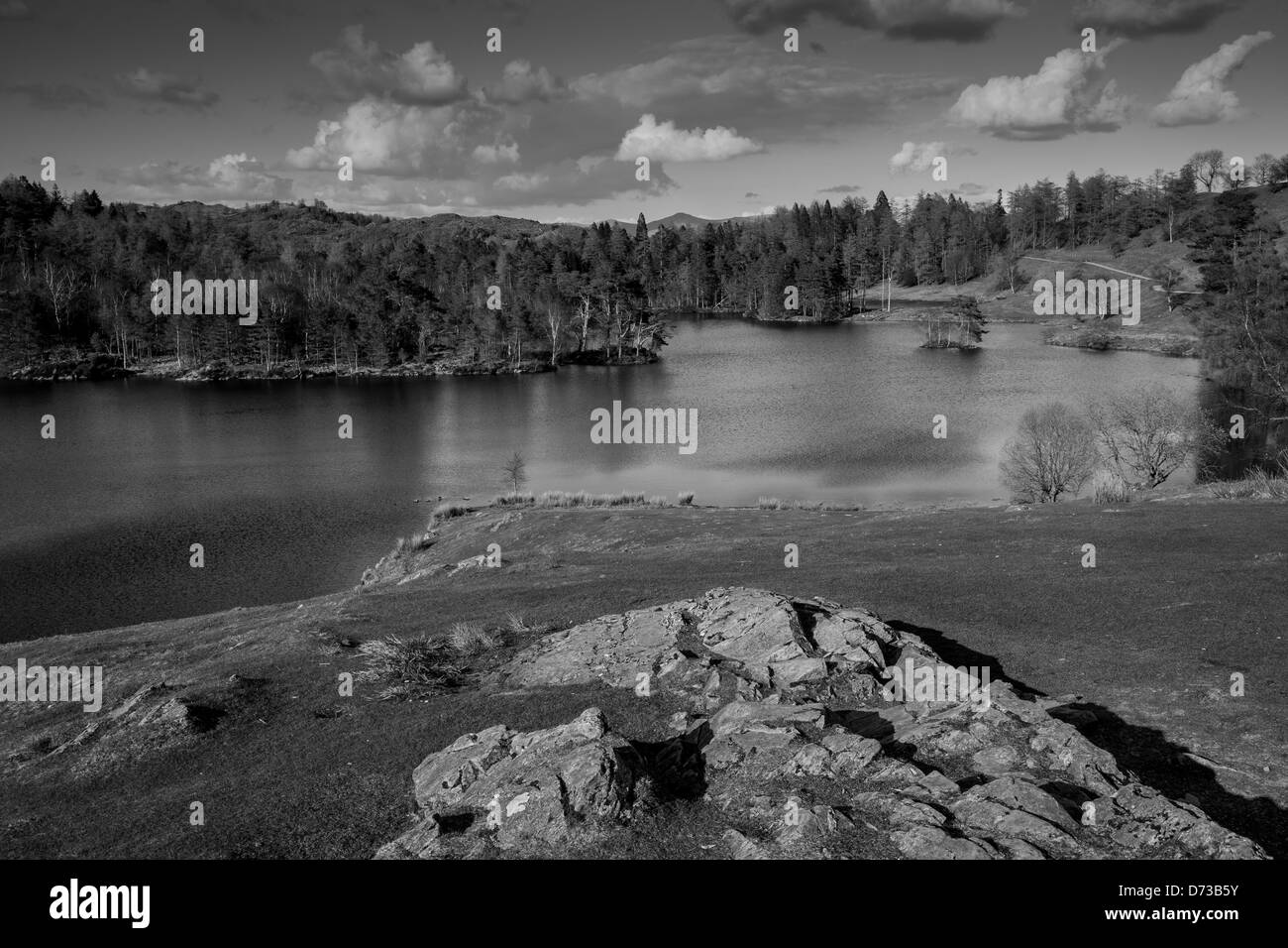 Blick über Tarn Hows, in der Nähe von Hawksead, Lake District, Cumbria Stockfoto