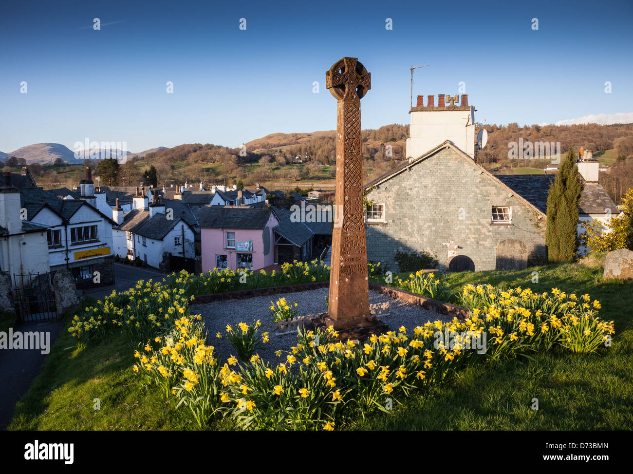 Narzissen rund um das Kriegerdenkmal auf dem Gelände des St. Michaels und All Angels Church, Hawkshead, Lake District, Cumbria Stockfoto