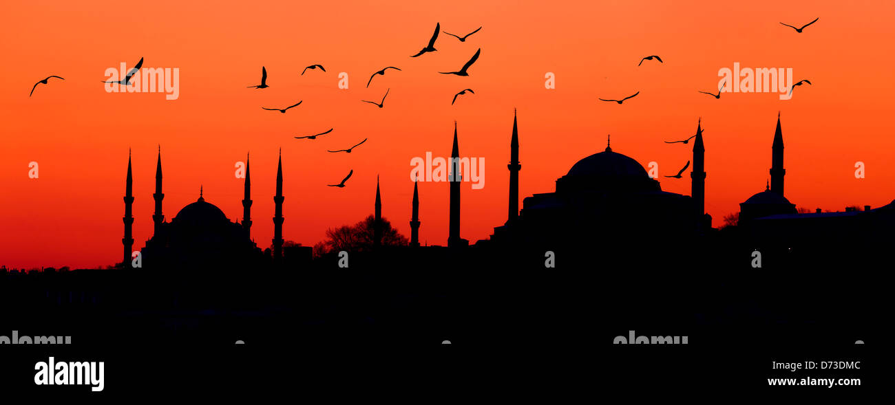 Estambul Skyline in der Abenddämmerung mit Möwen. Stockfoto