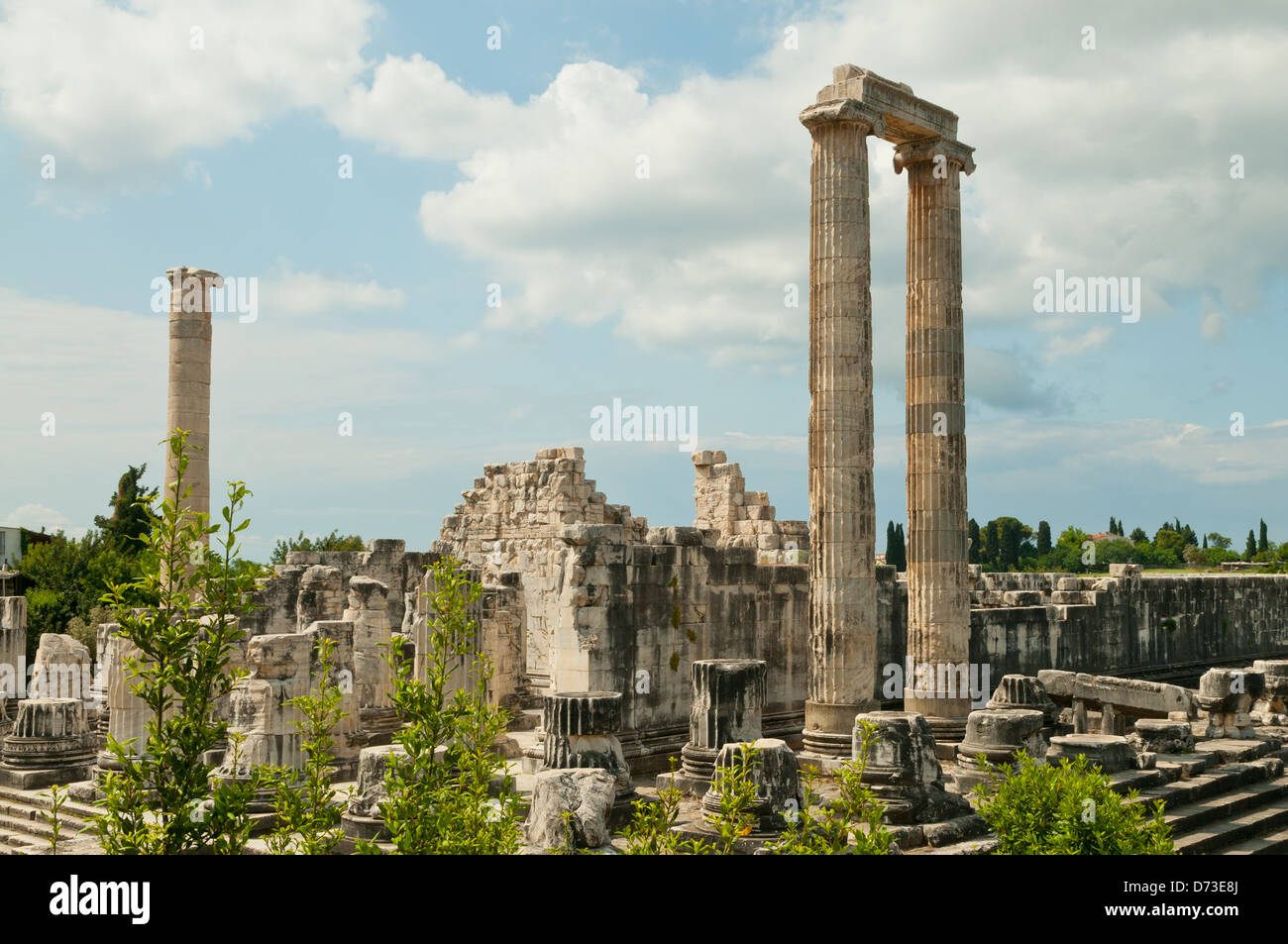 Tempel des Apollo, Didyma, Aydin, Türkei Stockfoto