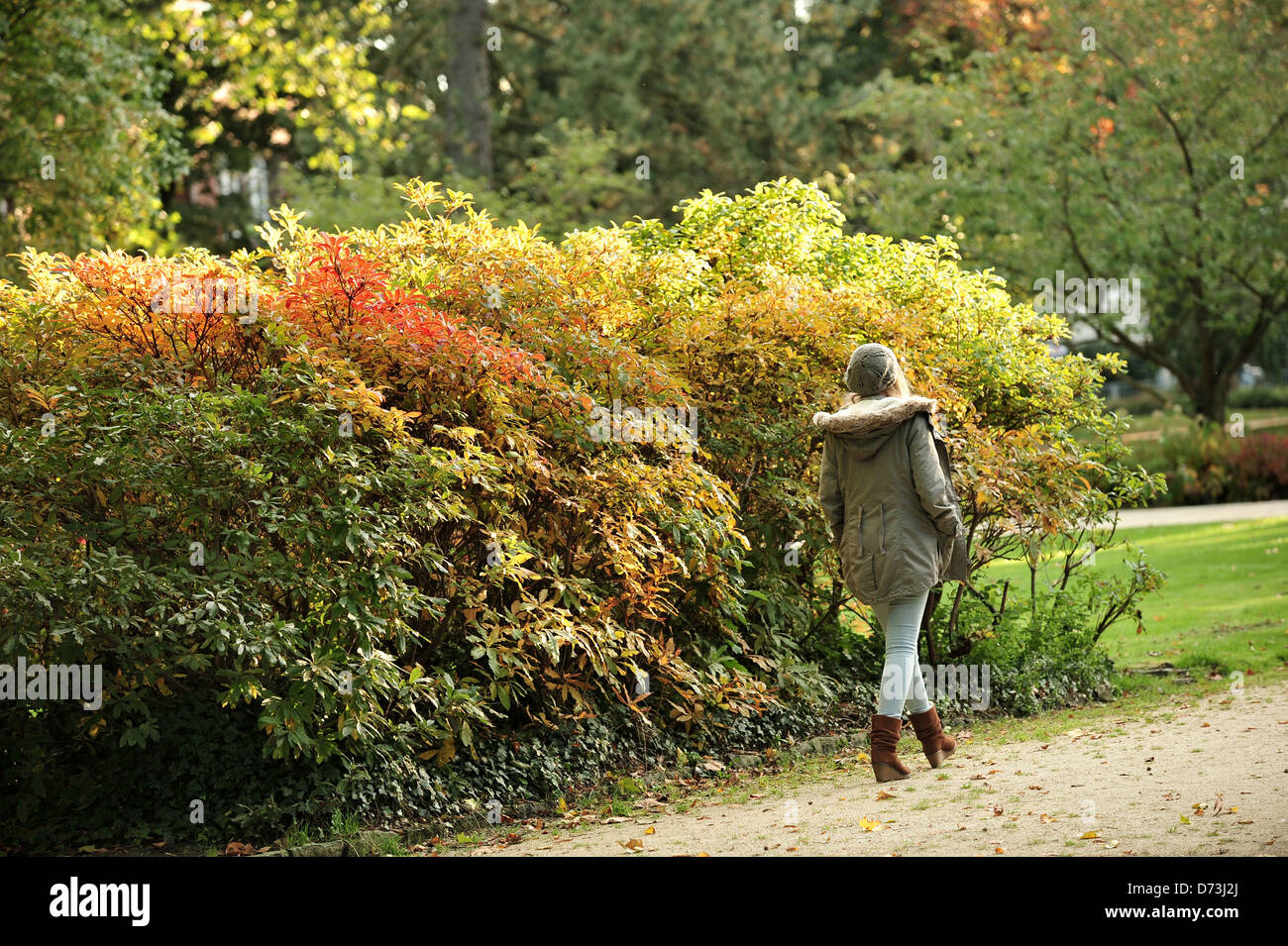 Oldenburg, Deutschland, Herbst in Oldenburg Caecilienpark Stockfoto