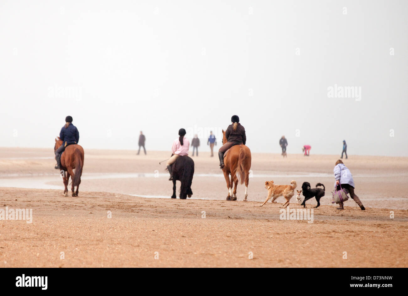 Passanten, Hunde Pferde Reiten und Wandern, Holkham Beach, Norfolk, East Anglia, England UK Stockfoto