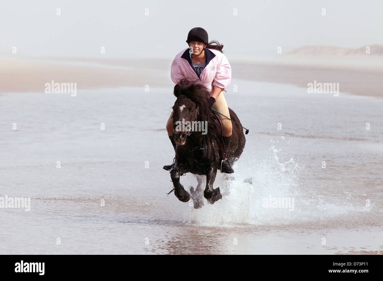 Eine junge Frau auf ihr Pferd an einem Sandstrand, Holkham Beach Norfolk East Anglia, England UK Stockfoto