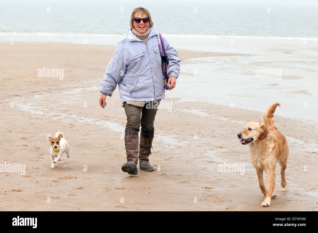 Eine Frau, ihr Hund Hunde am Strand, Holkham Beach, North Norfolk Küste, East Anglia, England Stockfoto