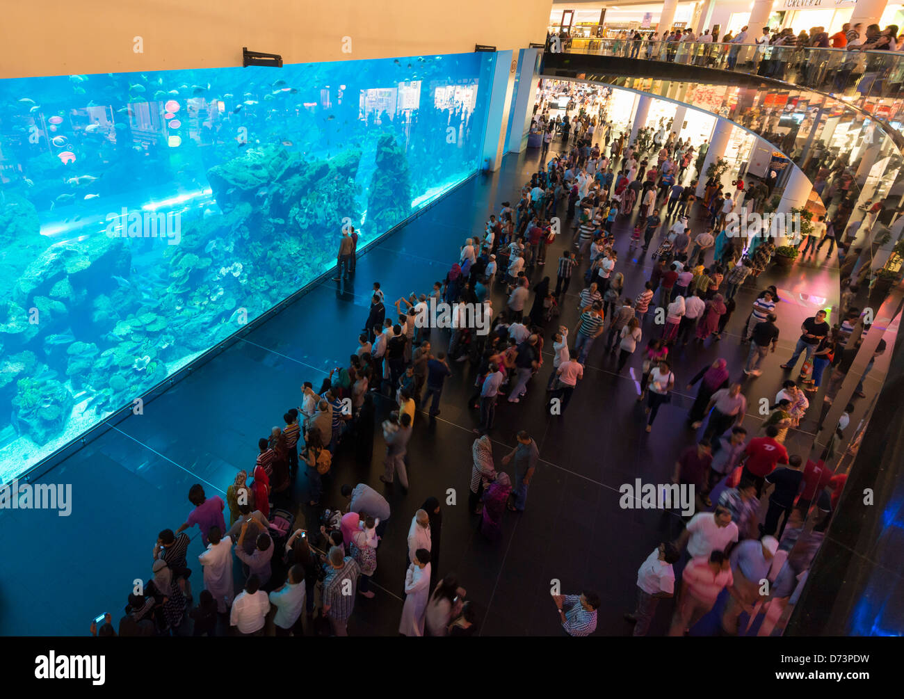 Großes Aquarium in der Dubai Mall in Vereinigte Arabische Emirate VAE Stockfoto