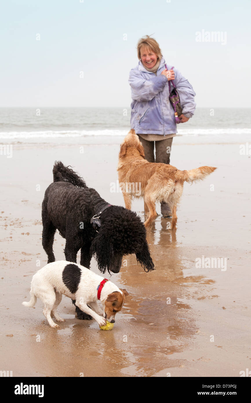 Eine Frau mit drei Hunden zu Fuß auf den Strand, Holkham Beach, North Norfolk UK Stockfoto