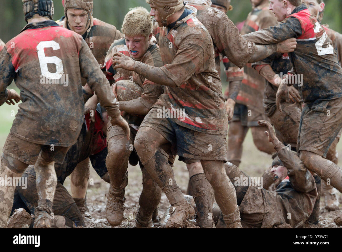 Teams kämpfen im Schlamm während eines Spiels auf der jährlichen Cherry Blossom-Rugby-Turnier. Stockfoto