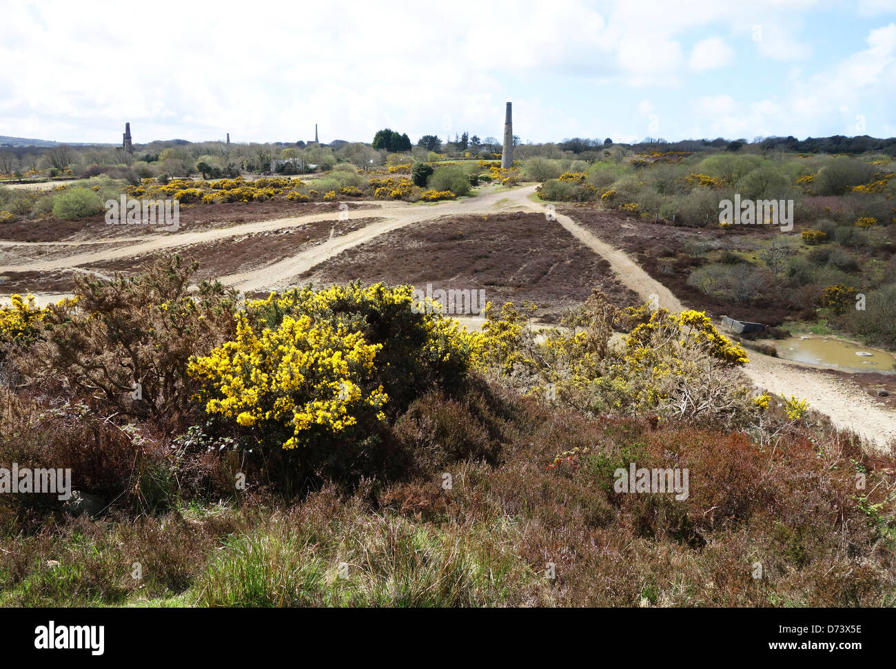 Zinn-Bergbau Ödland in der Nähe des Dorfes Chacewater in Cornwall, Großbritannien Stockfoto