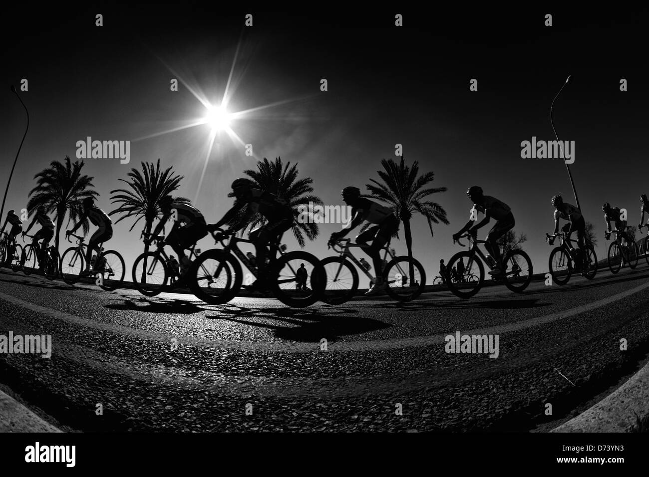 Die Packung von Fahrern Zyklus während einer Etappe der Mallorca-Rundfahrt, auf der spanischen Insel Stockfoto