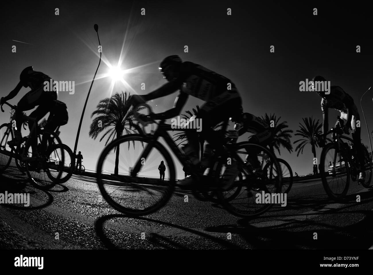 Die Packung von Fahrern Zyklus während einer Etappe der Mallorca-Rundfahrt, auf der spanischen Insel Stockfoto