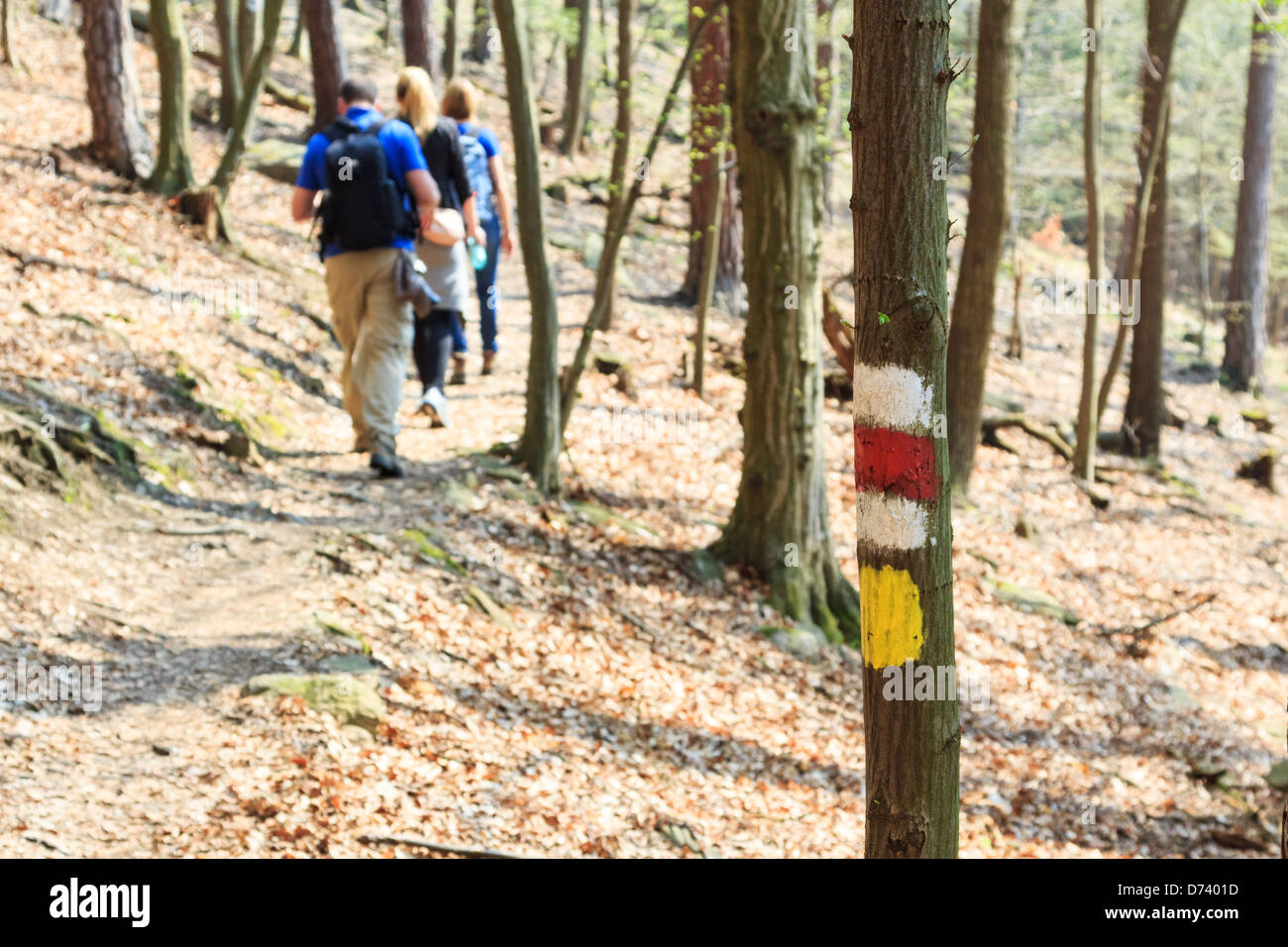 Eine Mark Wandern in den Wald mit Leuten in den Rücken Stockfoto