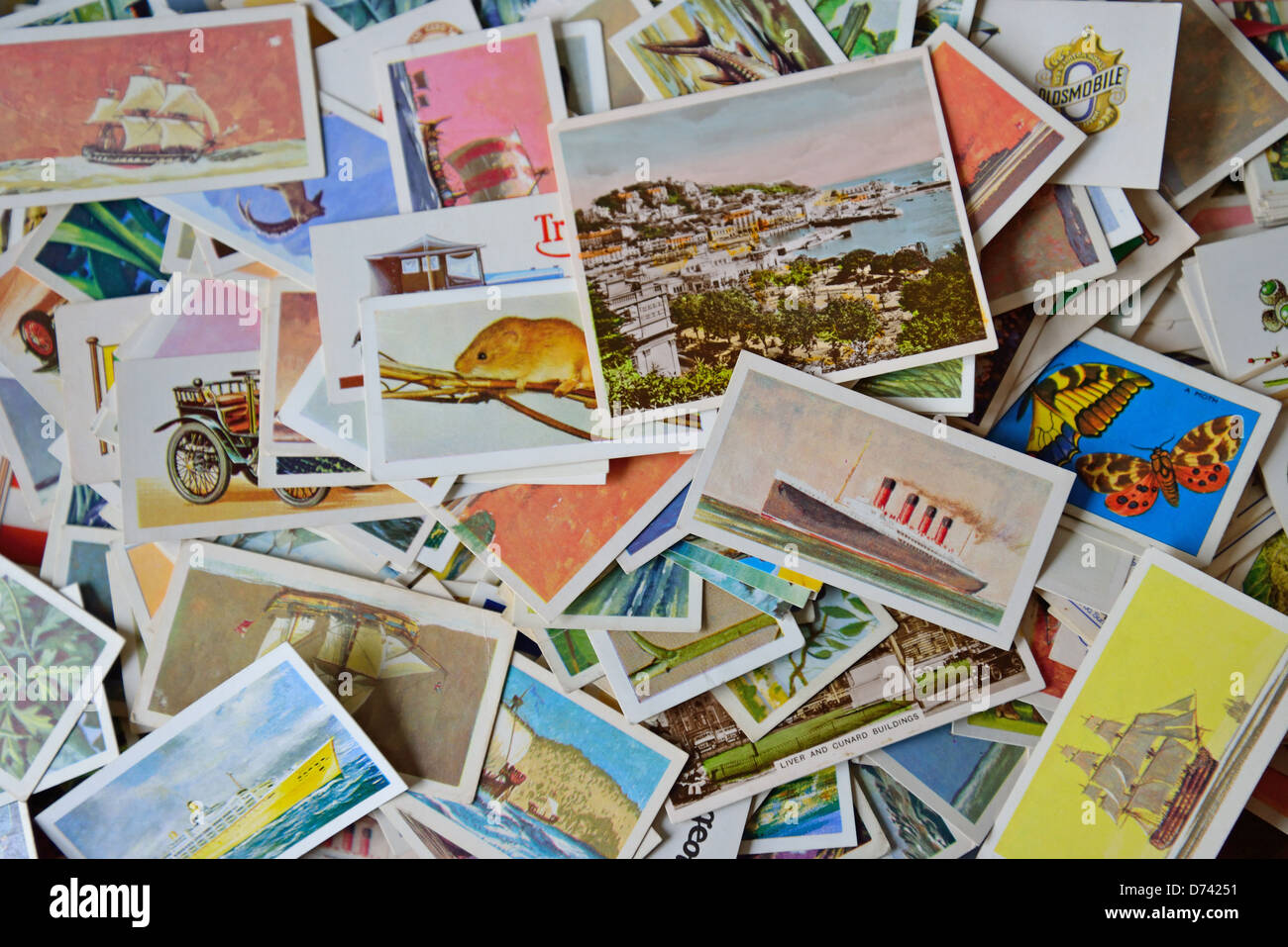 Alte Zigaretten und Tee Karten, Surrey, England, Vereinigtes Königreich Stockfoto