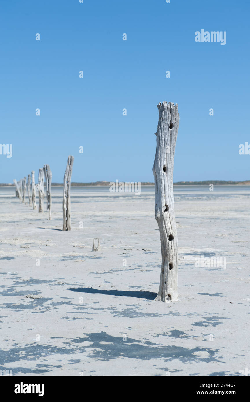 Rustikale verwitterte alten gebleicht weiß Zaunpfosten auf trockenen heißen trockenen Landschaft Stockfoto