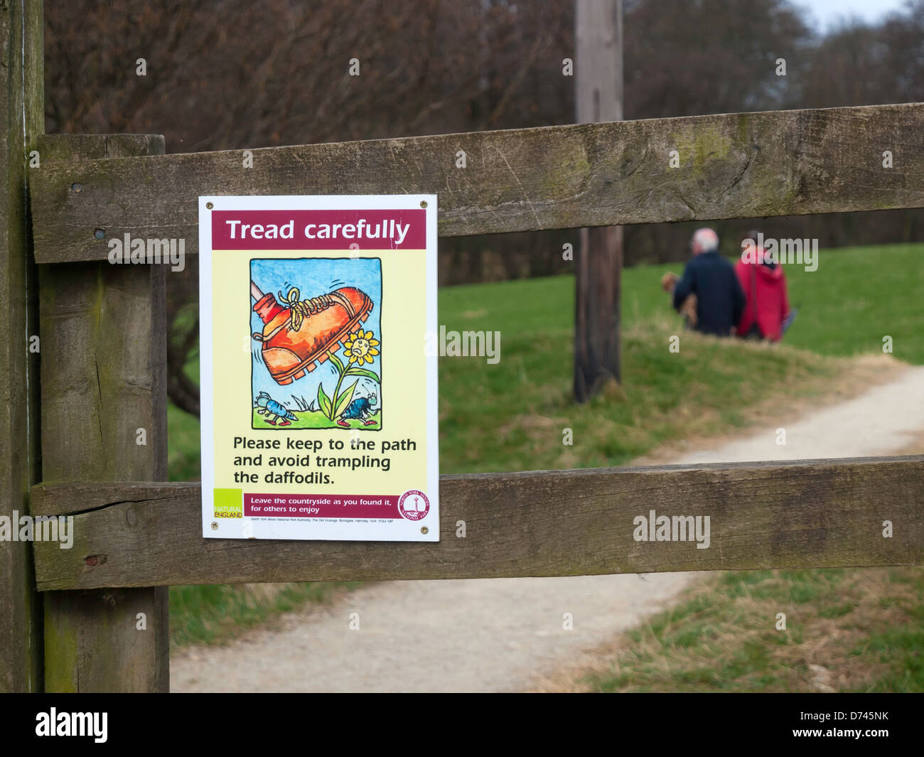 Vorsichtig, um zu vermeiden, trampeln die Narzissen-Zeichen auf dem Farndale berühmten Spaziergang im Frühling für Narzissen Stockfoto